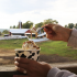 Michigan: Moomers Homemade Ice Cream, Traverse City