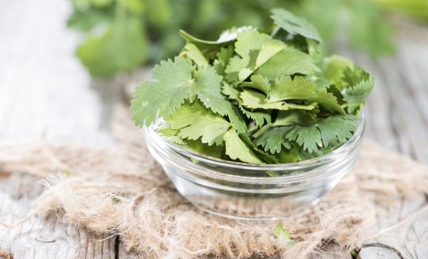 Flat-leaf parsley