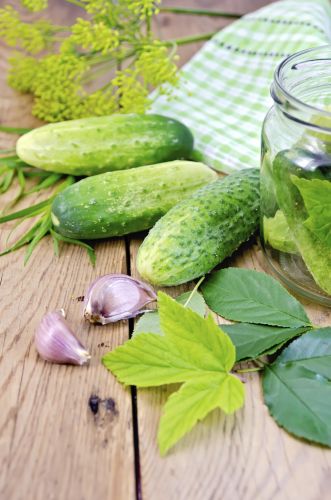 Homemade Pickles