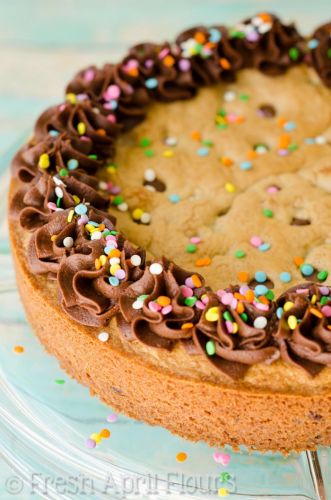 Chocolate chip cookie cake with chocolate fudge frosting