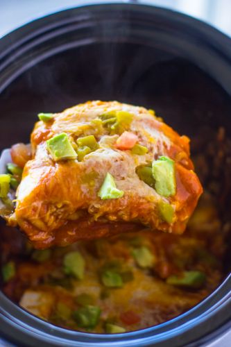 Chicken enchiladas