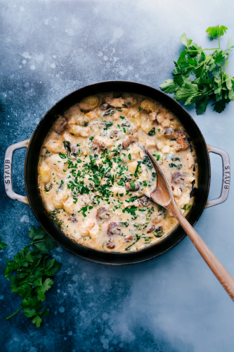 Chicken Gnocchi Pasta (One Skillet!)