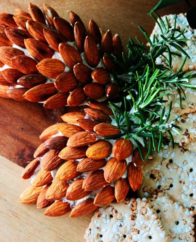 Christmas Pine Cone Cranberry Cheese Balls