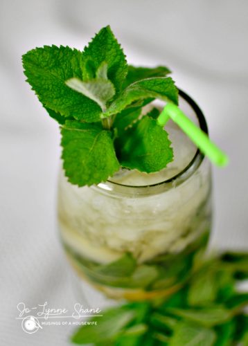 Classic Mint Julep