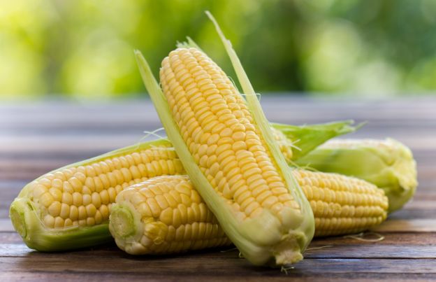 Corn