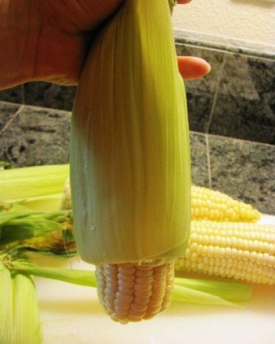 Corn on the Cob