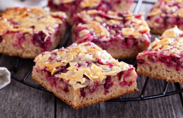 Cranberry snack bars