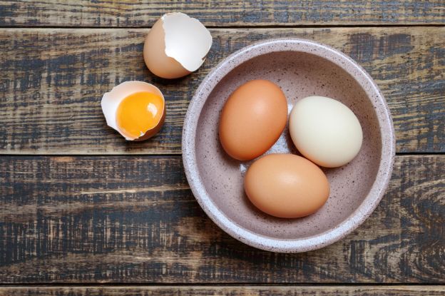 Eggs Are an Excellent Source of Protein