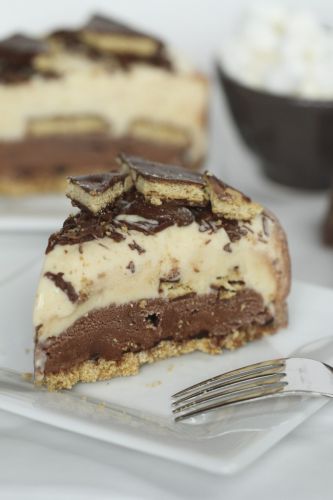 S'mores Ice Cream Cake