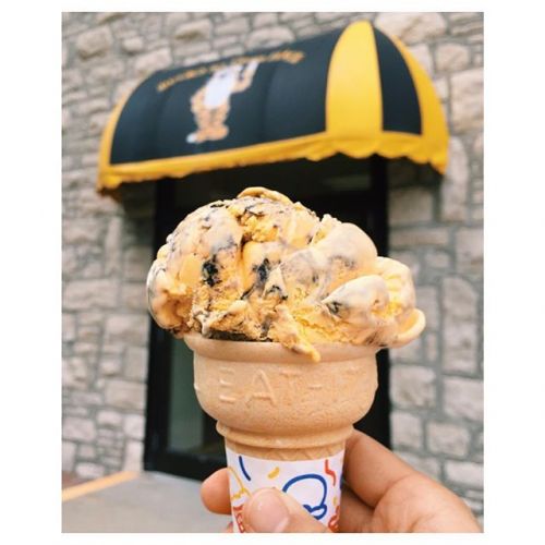 Missouri: Tiger Stripe Ice Cream