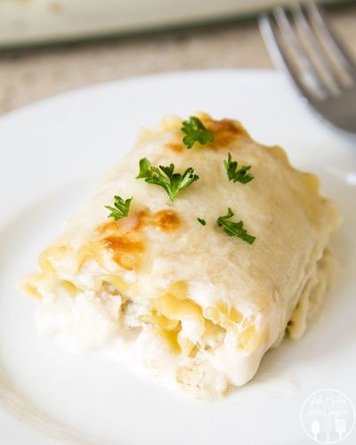 Chicken Alfredo Lasagna Roll-Ups