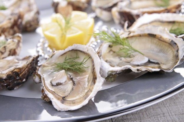 Oysters