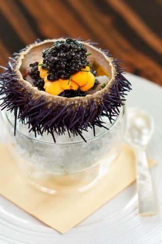 Sea urchin with caviar