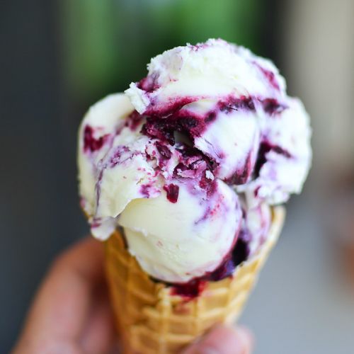 Frozen blueberry yogurt