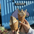 Alaska: Wild Scoops, Anchorage