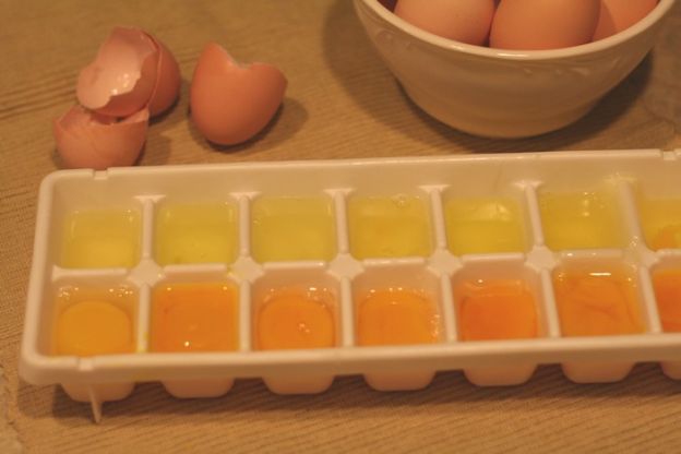 Freeze Eggs In Bulk