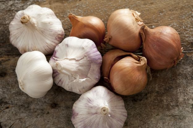 Garlic and Onion