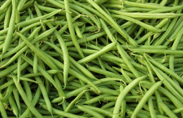 Green Beans