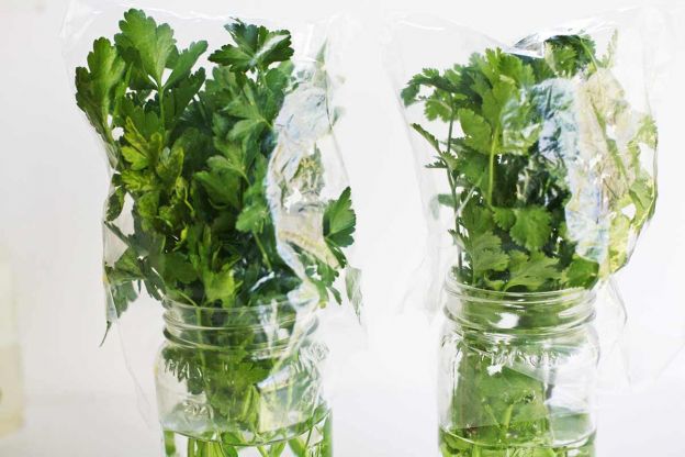 Keep Fresh Herbs Fresh for Longer with Water and Plastic Bags