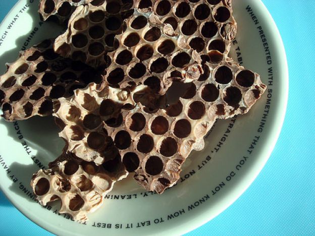 Chocolate honeycomb