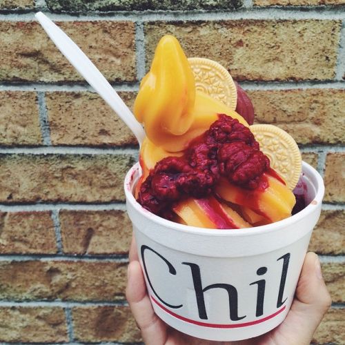 Chil Frozen Yogurt in London, Canada