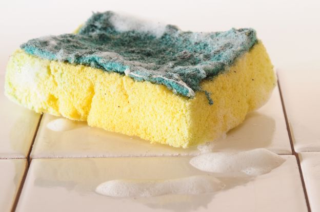 Clean and disinfect a sponge