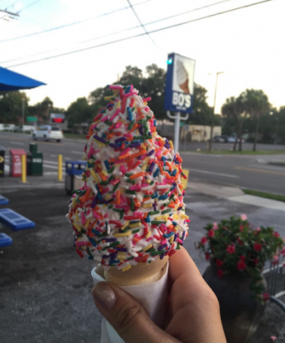 Bo's Ice Cream, Tampa, FL