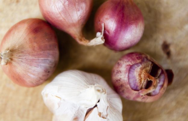 Hone Your Onion Chopping Skills