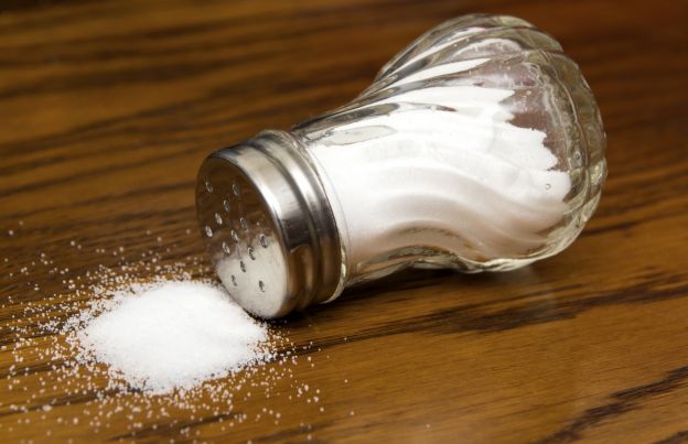 13. Hold the salt