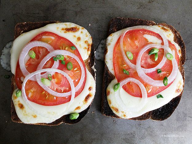 Open Face Toasted Tomato and Mozzarella Sandwich