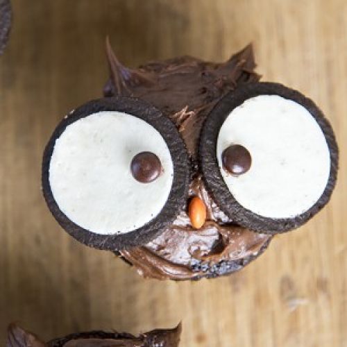 Owl cupcakes