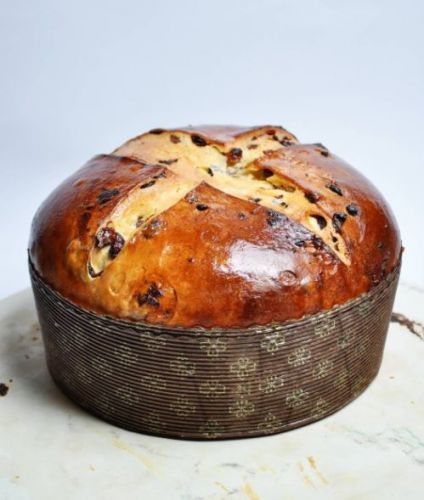 Panettone