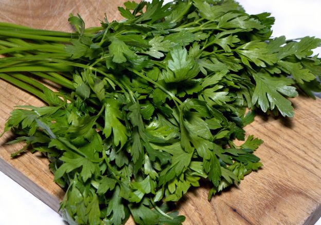 Parsley, chervil, coriander, and chives