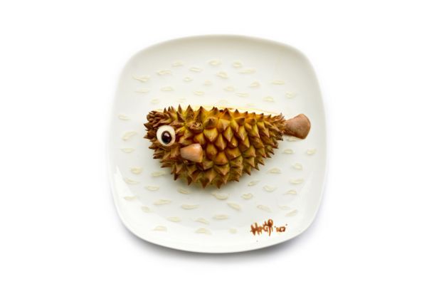 pufferfish