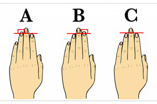 Find Out What Your HANDS Say About You!