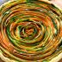 Spiral Vegetable Tart