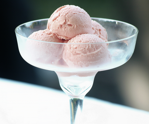 Watermelon coconut sorbet