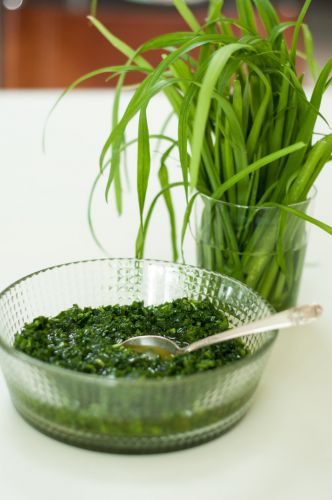 Wild Garlic and Mint Chimichurri