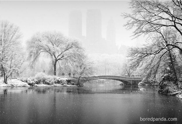 Central Park, New York, USA