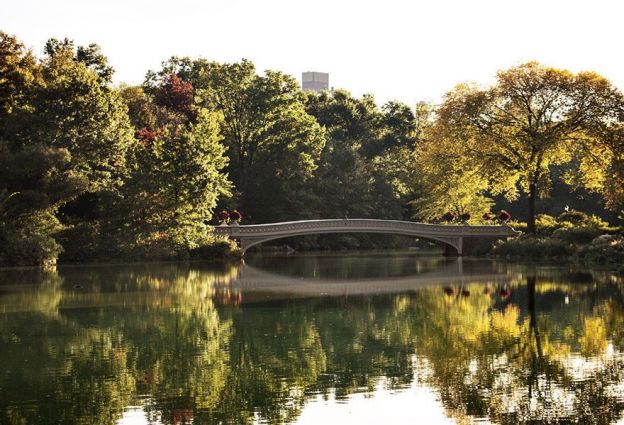 Central Park, New York, USA