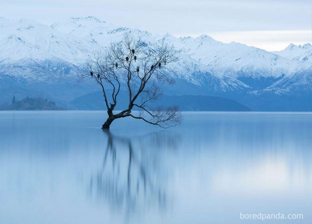 Lake Wanaka, New Zealand